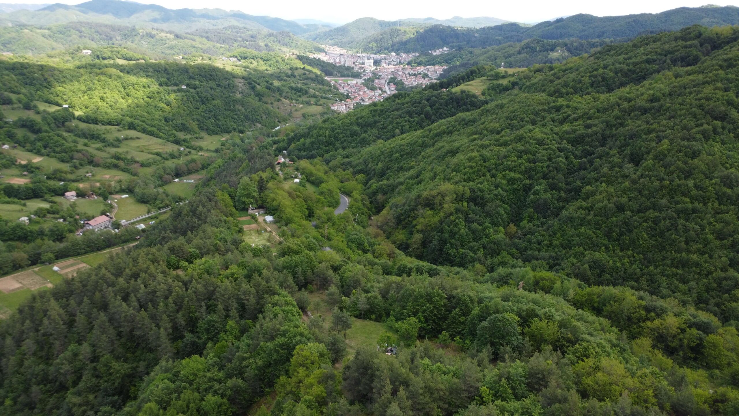 снимка снимка